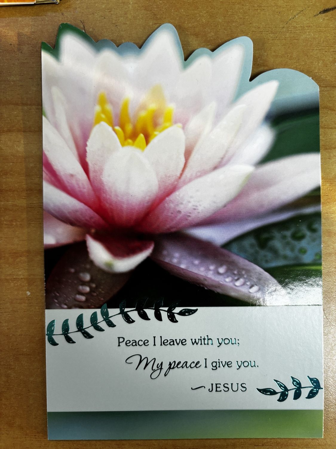 GC: Sympathy BB #56 Pink Waterlilly Peace I leave with you