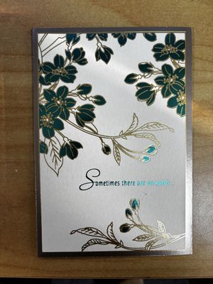 GC: Sympathy #08 Sometimes There Are No Words