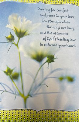 GC: Sympathy #52 Praying for Comfort daisy
