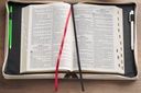Bible Case XL Everything Beautiful Taupe