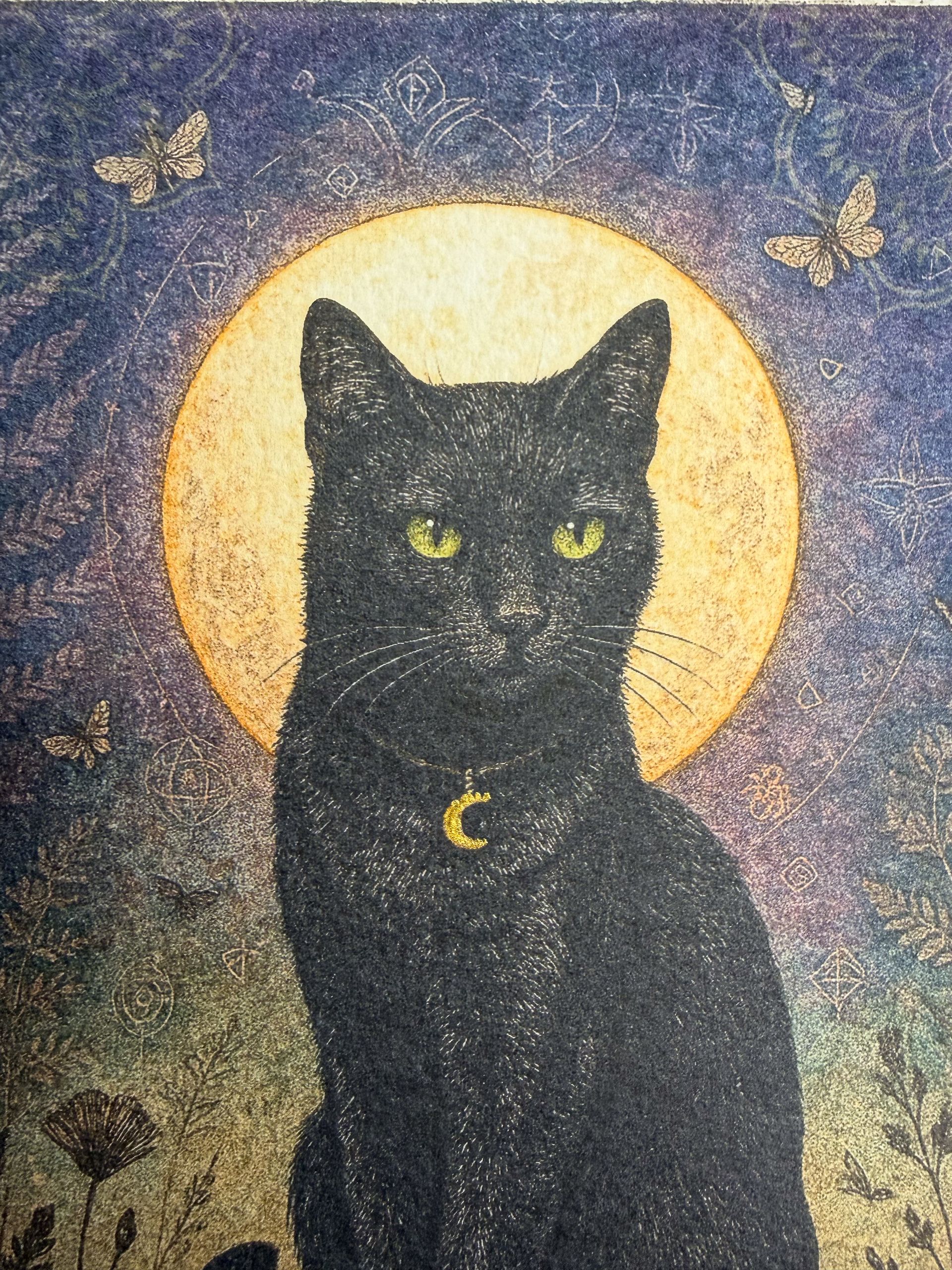 Astrid - Star Kissed Watcher (Night Guardians Collection)