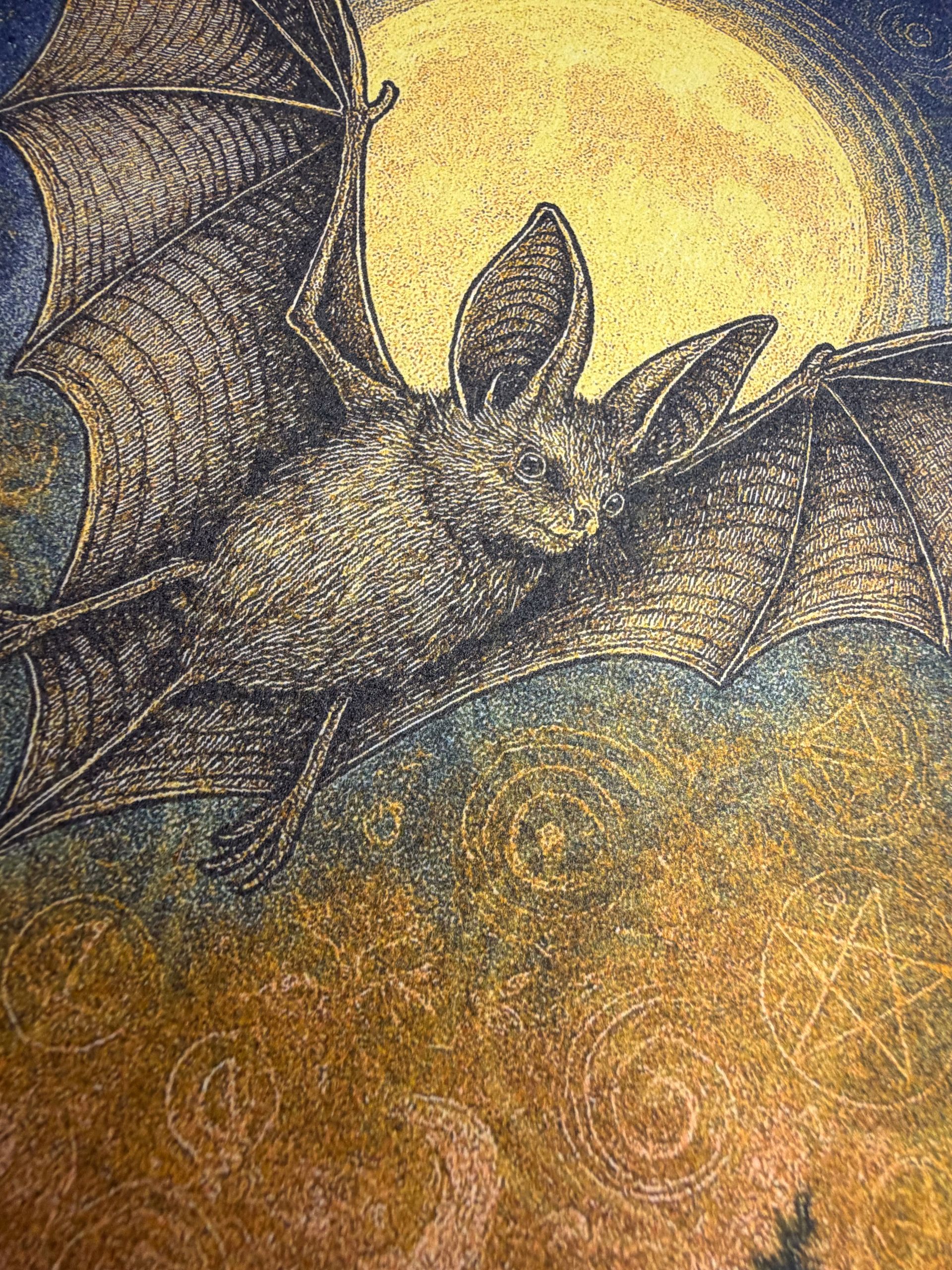 Lunar Echo (Night Guardians Collection)