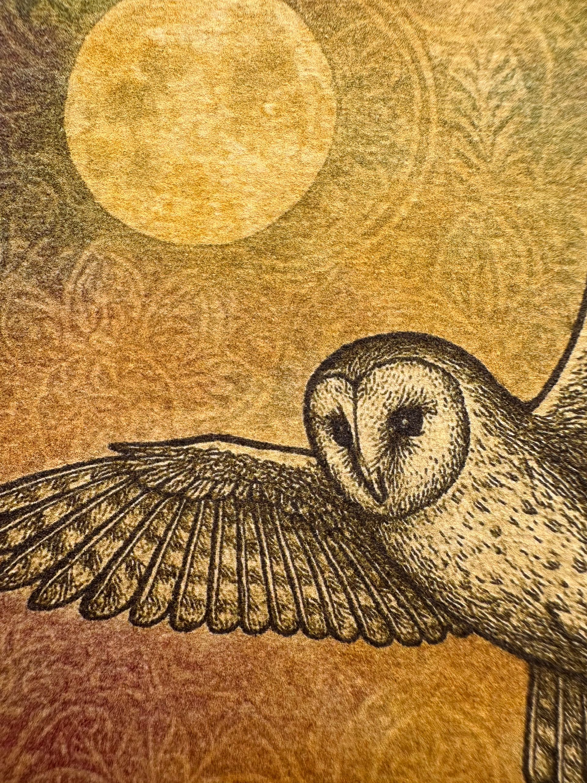 Silent Knowing