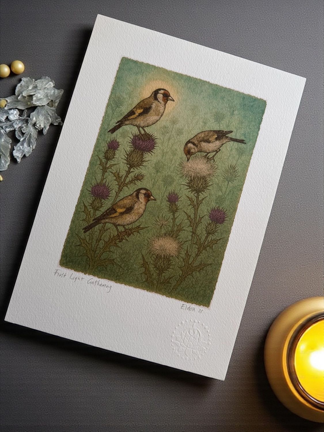 First Light Gathering