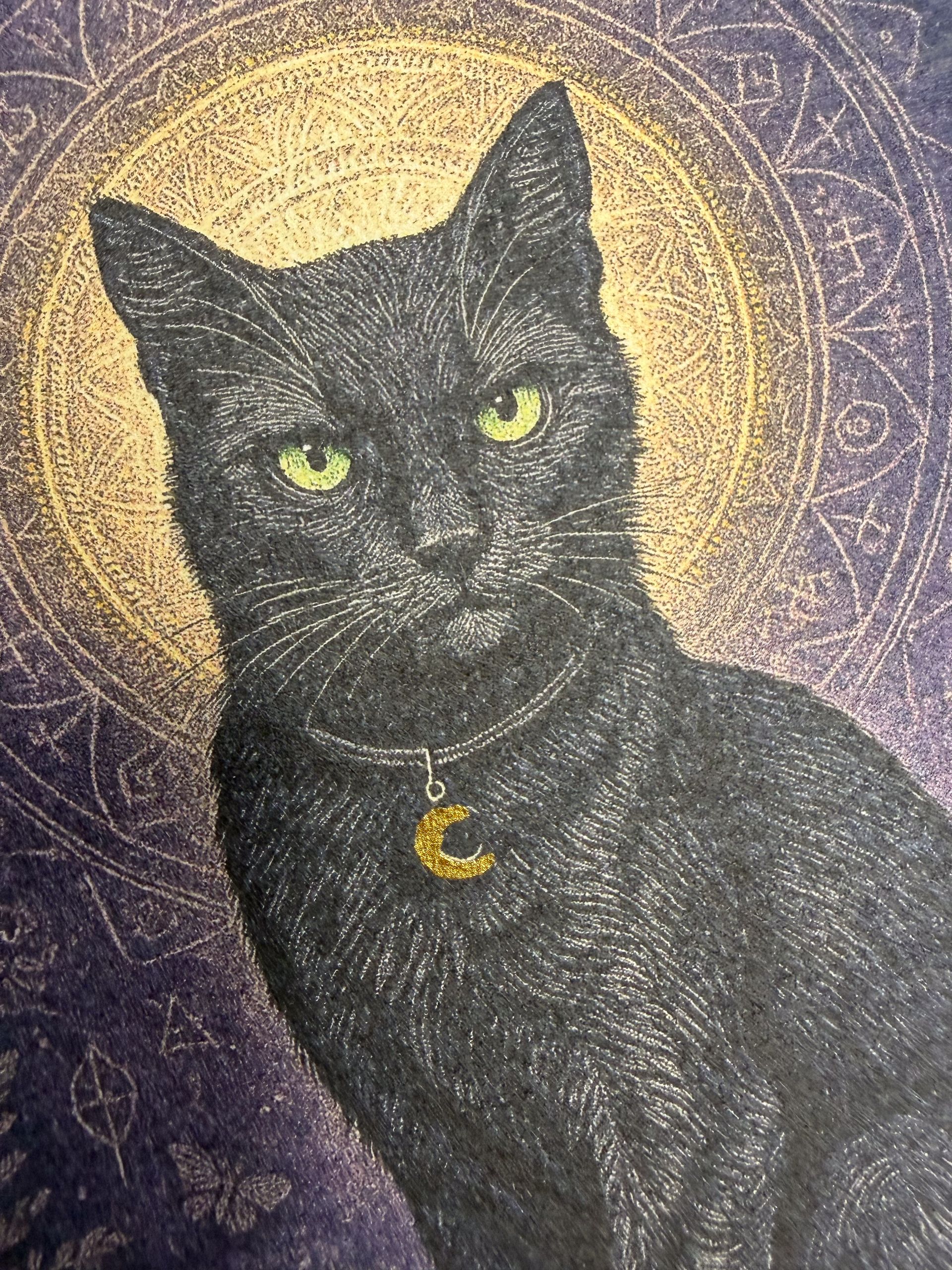 Shadow - Guardian of Light  (Night Guardians Collection)
