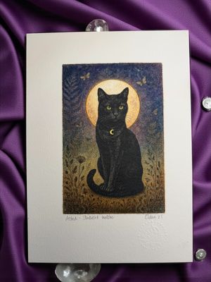 Astrid - Star Kissed Watcher (Night Guardians Collection)