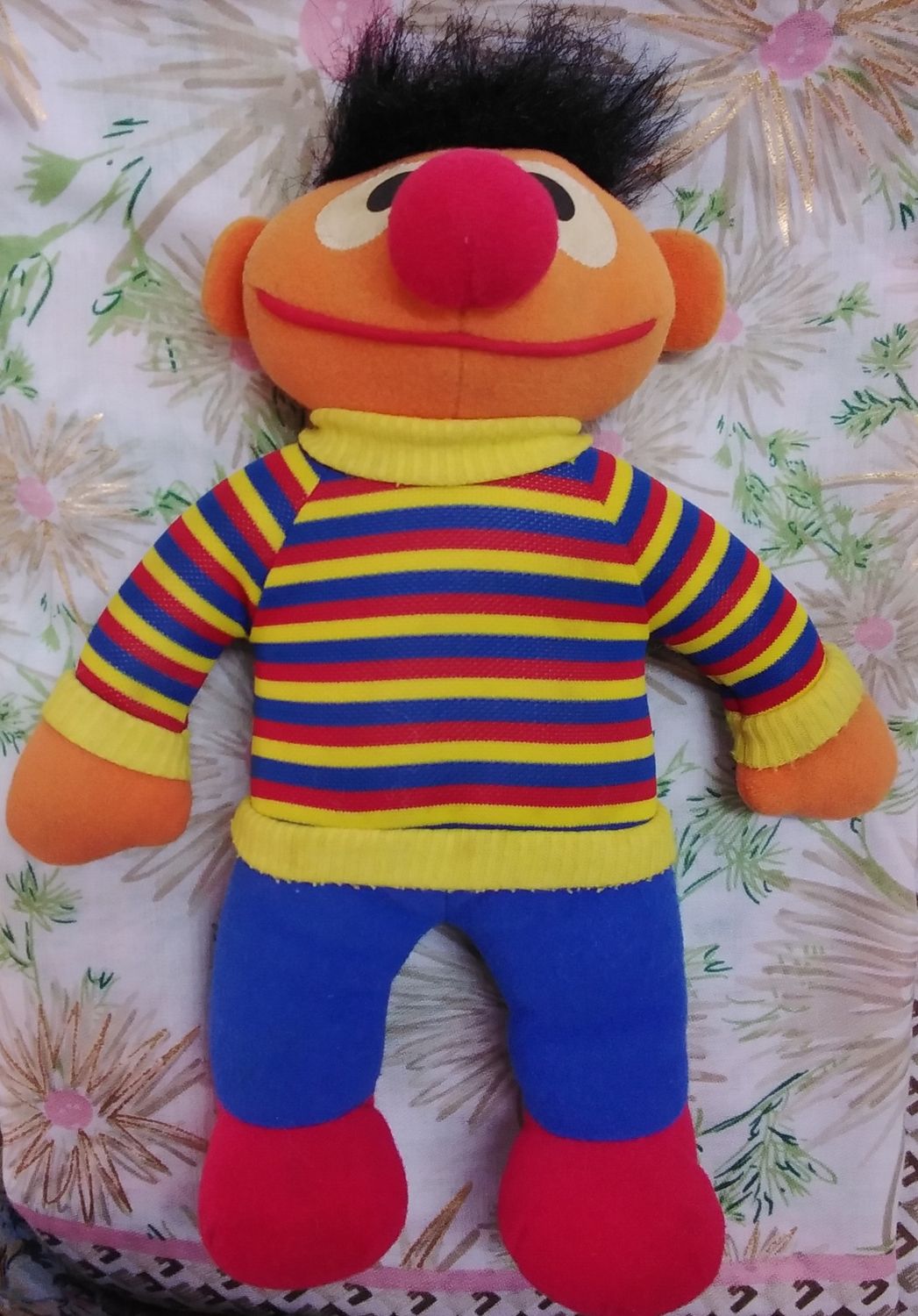 Ernie from Sesame Street