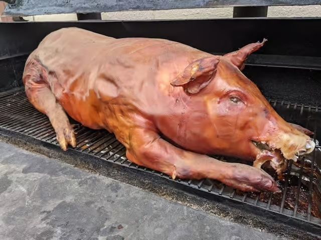 Whole Fresh Pig