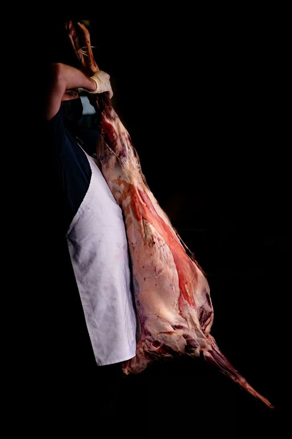 Whole Lamb