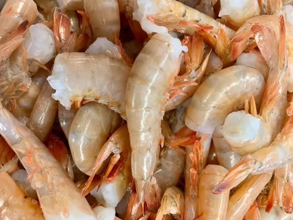 Wild Jumbo Gulf Shrimp