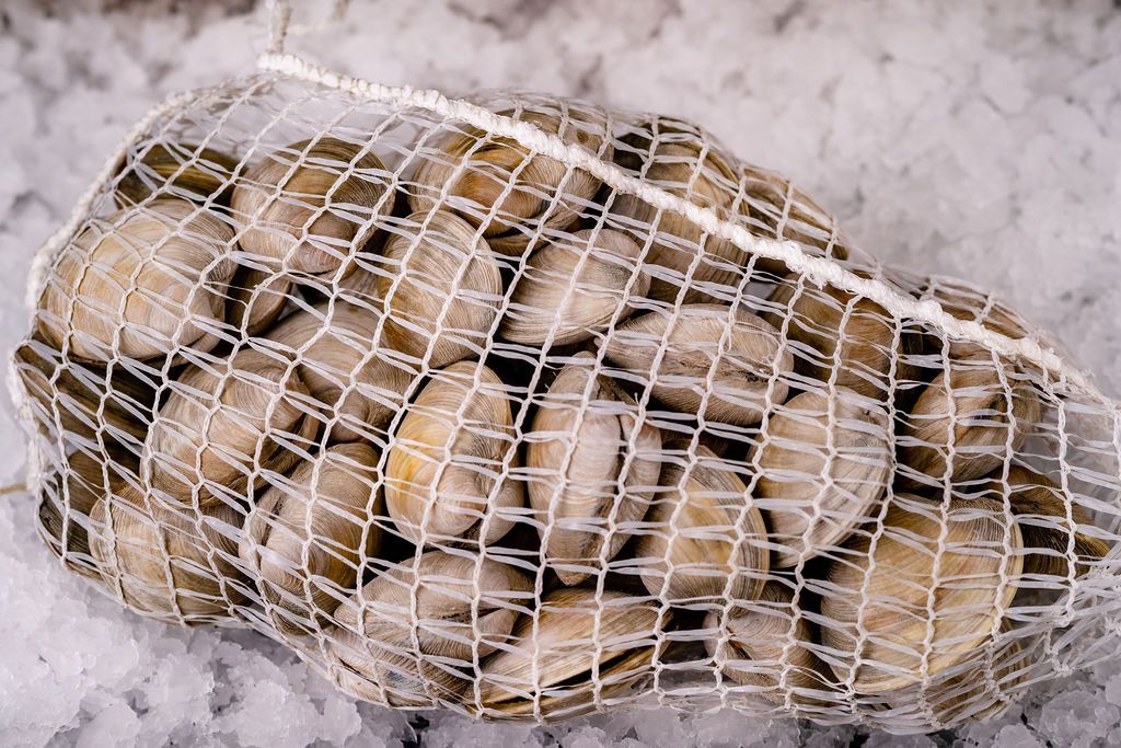 Little Neck Clams