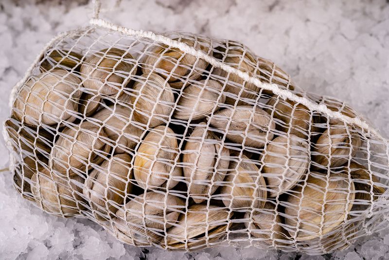 Little Neck Clams