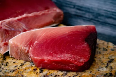 Wild Yellowfin Tuna Wild Yellowfin Tuna