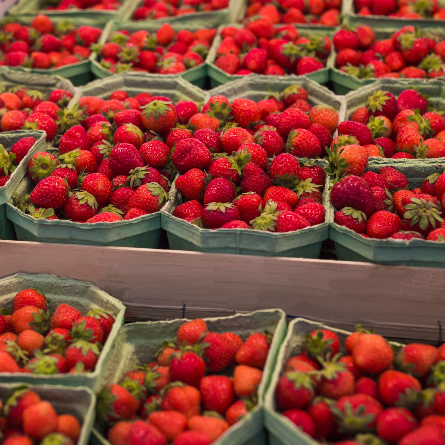 Fresas