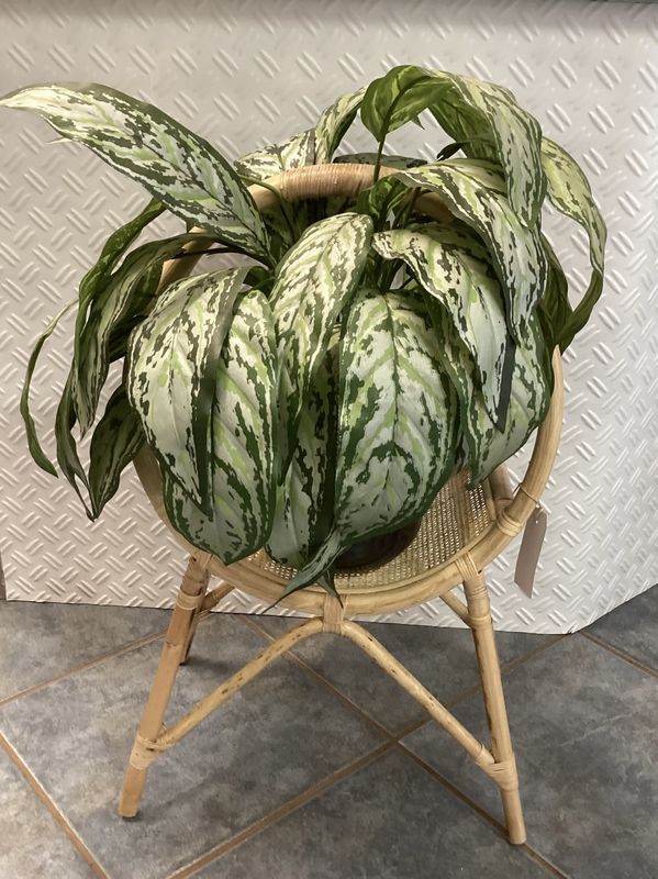 Plant Stand Quentin Natural - Rattan