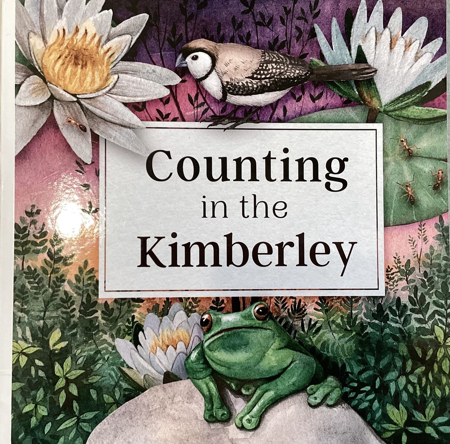 Counting in The Kimberley
