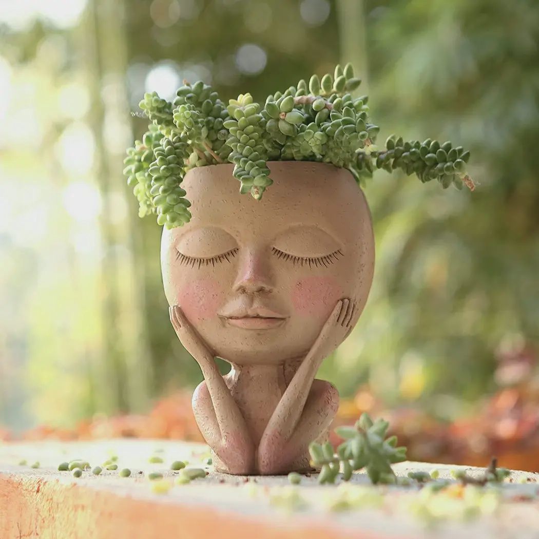 Blushing Face Planter