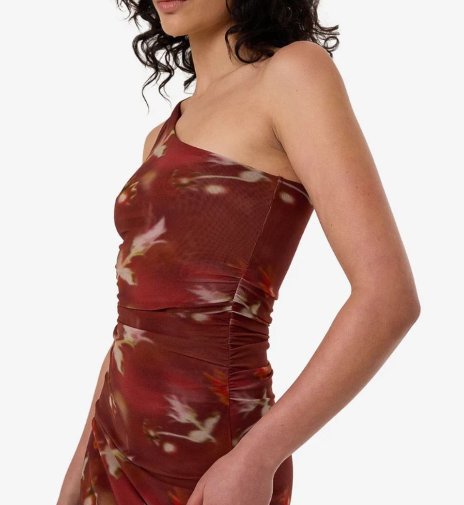 THRILLS LADIES RHAPSODY FLORAL MINI DRESS - CABERNET