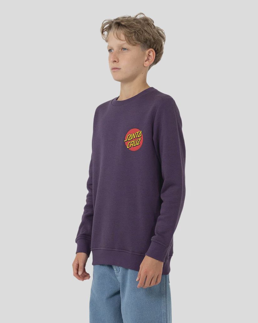 SANTA CRUZ BOYS CLASSIC DOT CHEST SWEATER - PURPLE
