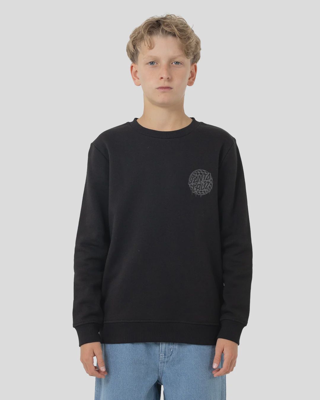 SANTA CRUZ BOYS CHECK WASTE DOT MONO REFLECT SWEATER - BLACK