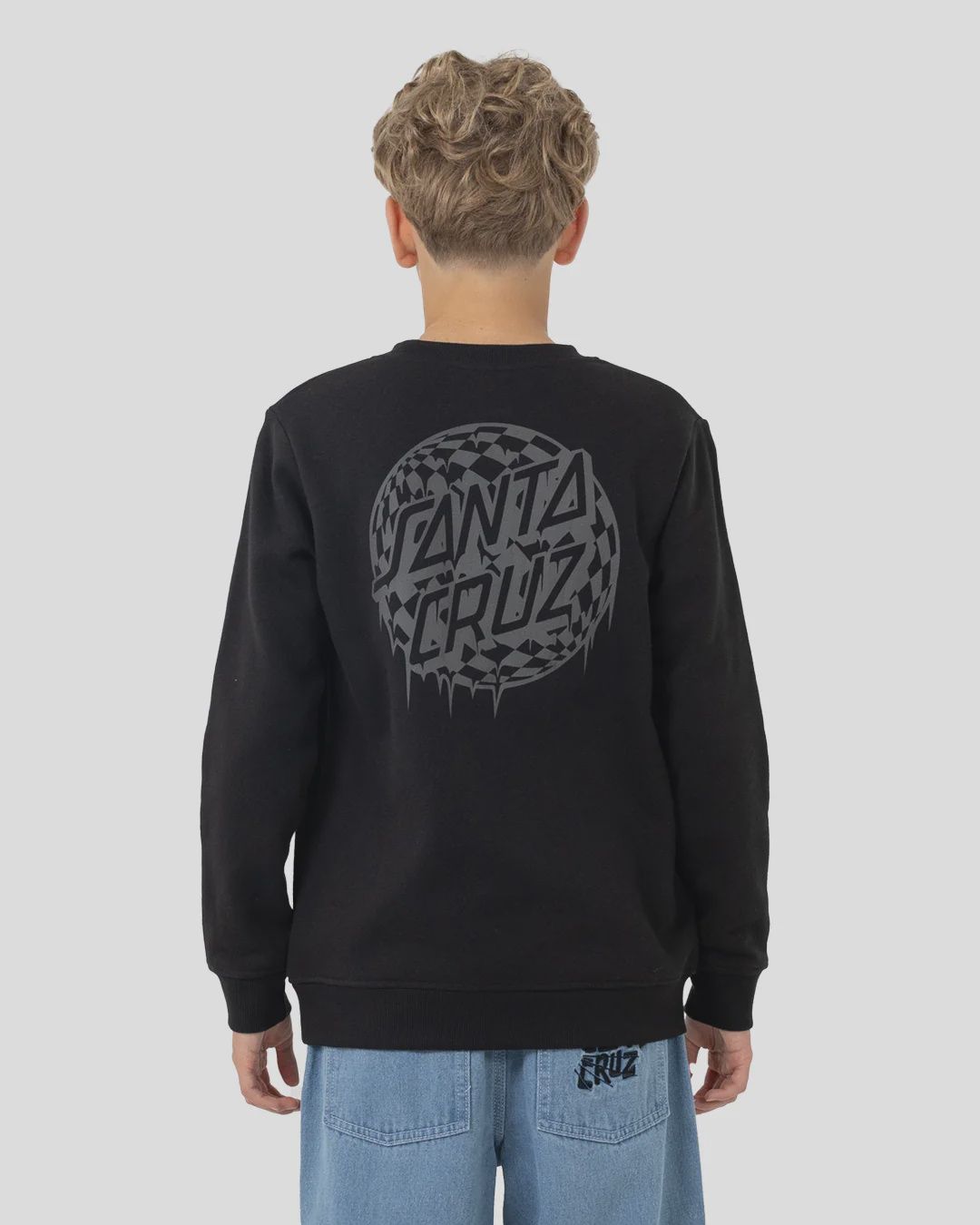 SANTA CRUZ BOYS CHECK WASTE DOT MONO REFLECT SWEATER - BLACK