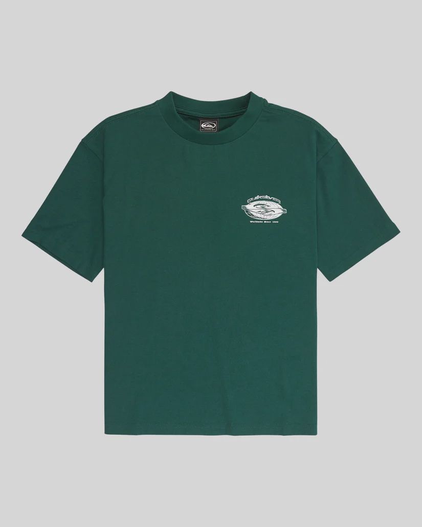 QUIKSILVER BOYS MERCURY WORLDWIDE SS TEE - BOTANICAL GARDEN