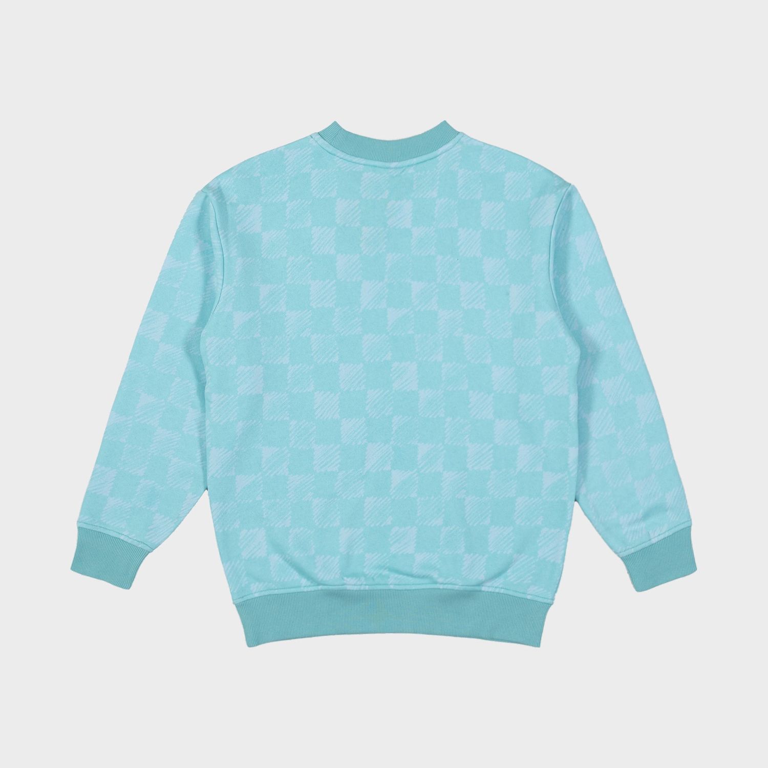 SANTA CRUZ GIRLS HEART DOT HOLLOW FRONT OVERSIZE SWEATER - AQUA CHECK