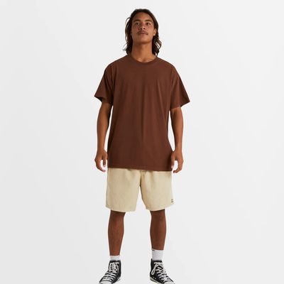 BILLABONG MENS PREMIUM WAVE WASH SS TEE - JAVA