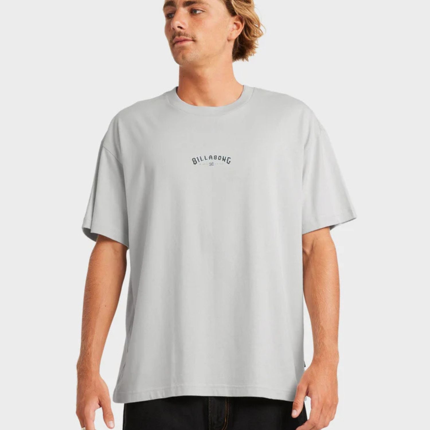 BILLABONG MENS CHROME ARCH OG SS TEE - SILVER