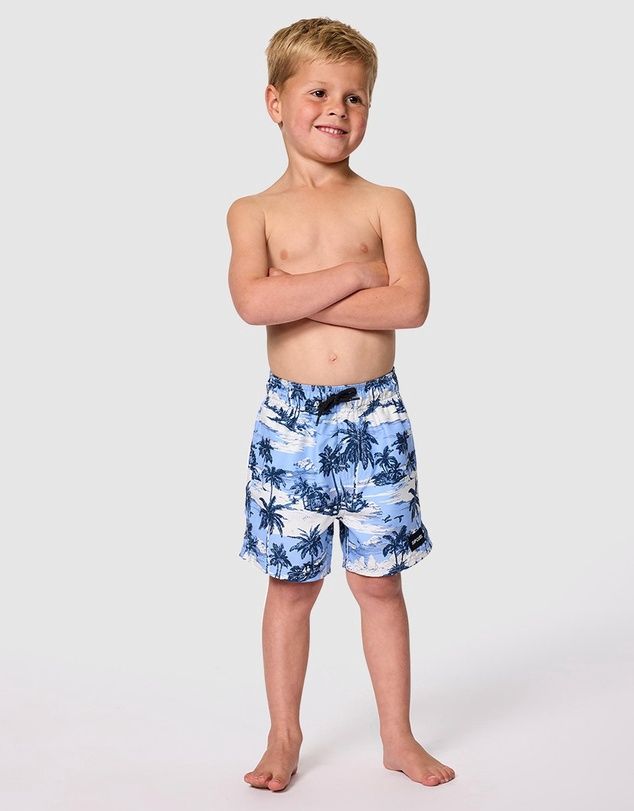 RIP CURL BOYS DREAMERS VOLLEY BOARDSHORT  -  ICE BLUE