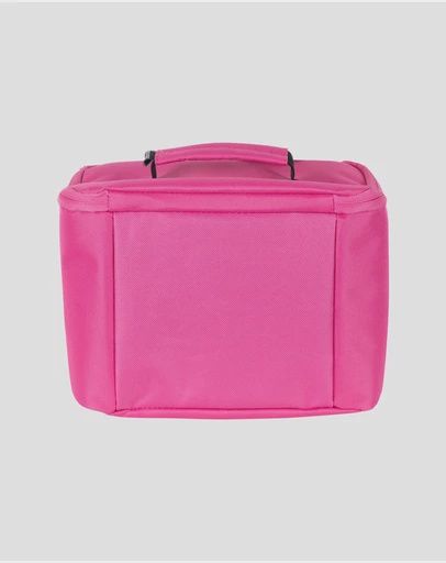 SANTA CRUZ FIELD STRIP TALL INSULATED LUNCHBOX- PINK