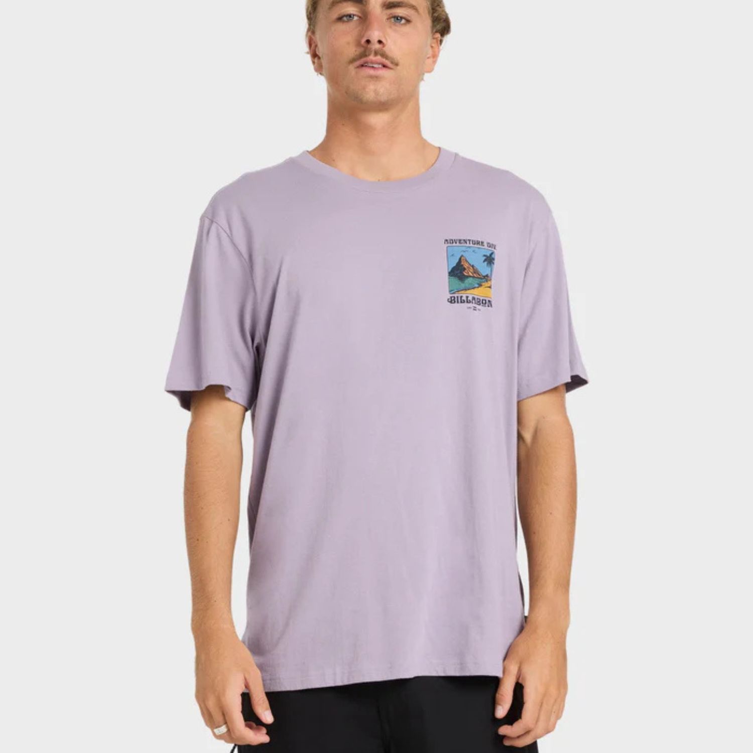 BILLABONG MENS POST CARDS ADIV PREMIUM SS TEE - PURPLE ASH