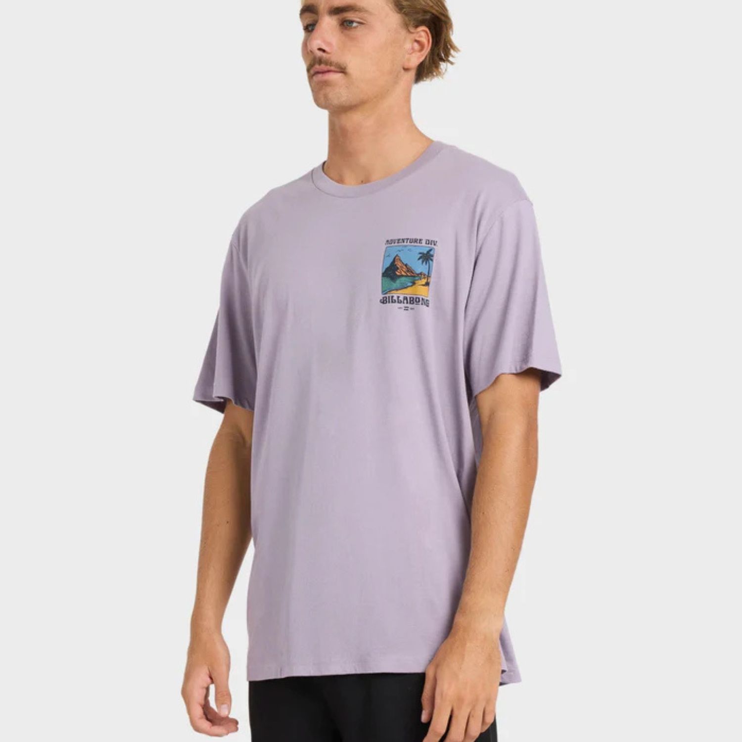 BILLABONG MENS POST CARDS ADIV PREMIUM SS TEE - PURPLE ASH