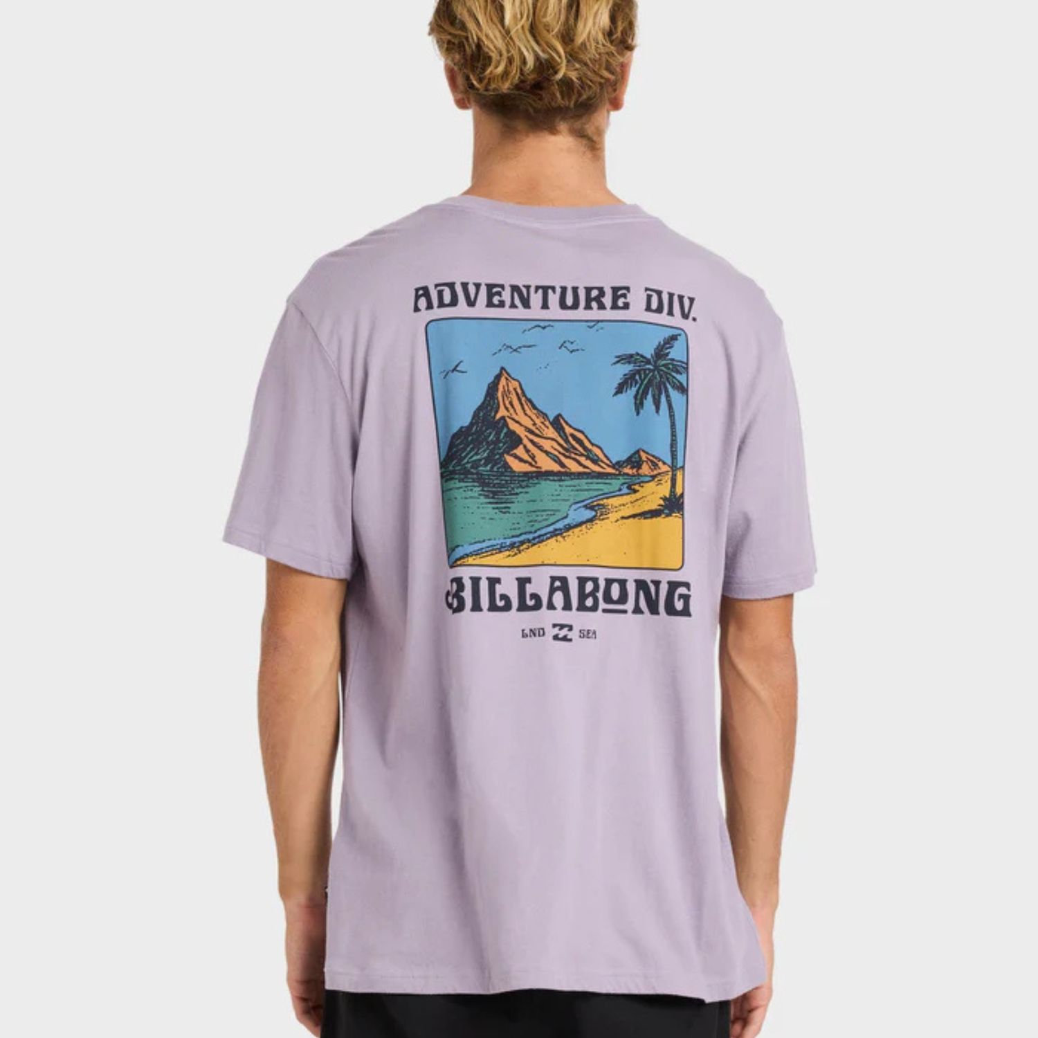 BILLABONG MENS POST CARDS ADIV PREMIUM SS TEE - PURPLE ASH