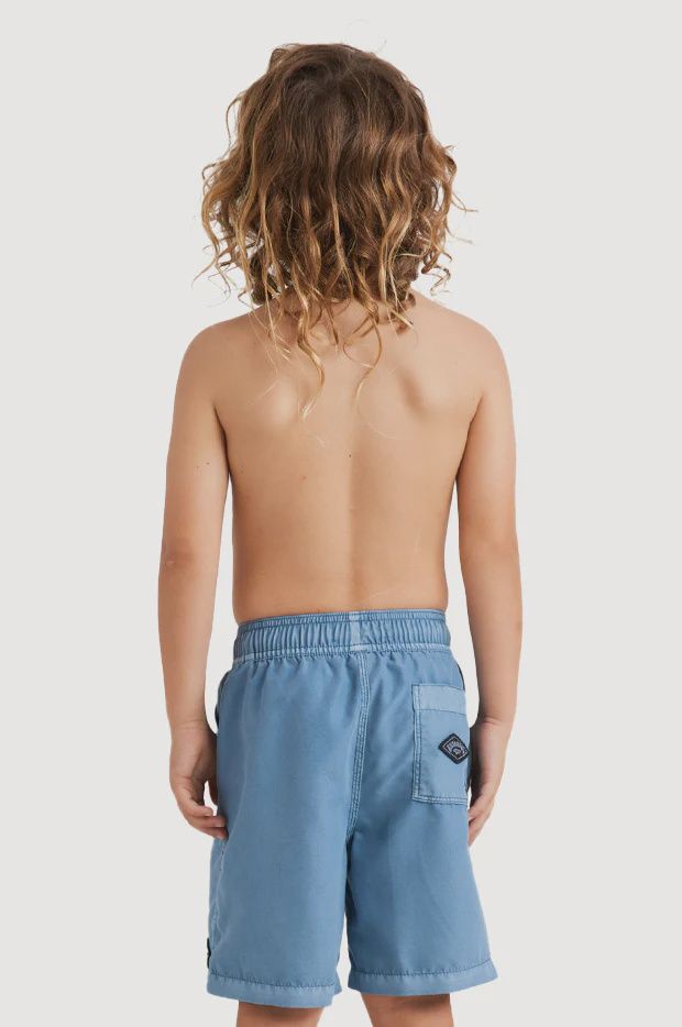 BILLABONG TODDLER BOYS ALL DAY OVERDYED LAYBACK SHORT - STEEL BLUE