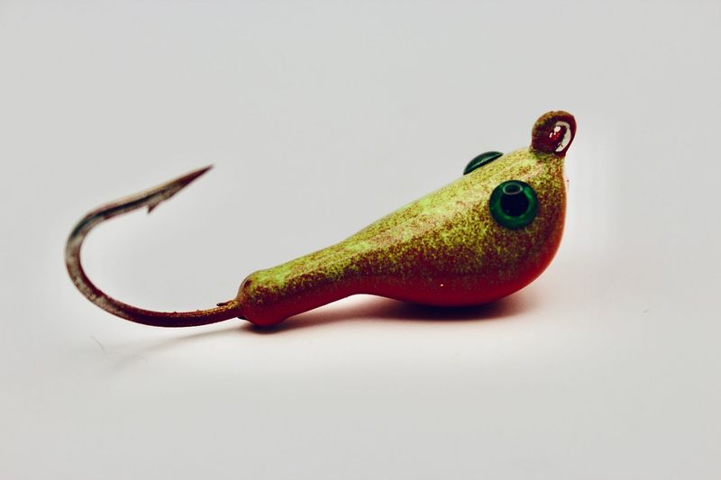 FIRE BUG
