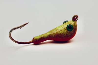 FIRE BUG