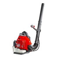 Efco SA2063 Backpack Blower