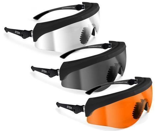 Stein Krieger safety glasses