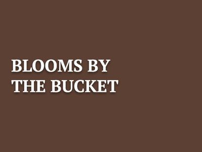 Blooms by the Bucket