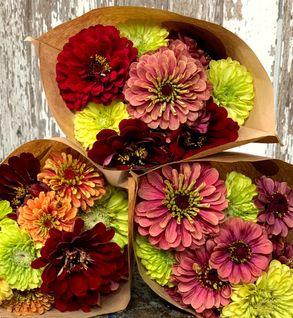 Zinnia Bundles