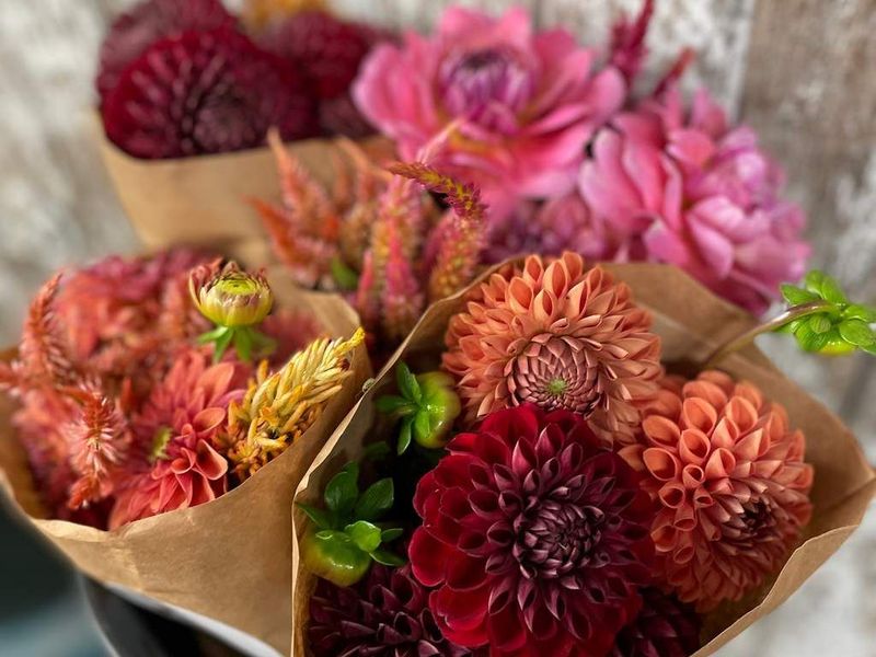 Dahlia Wrapped Bouquet