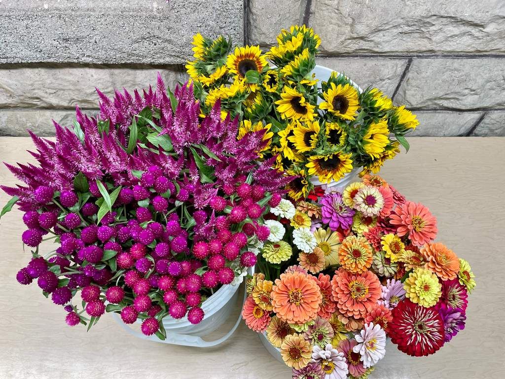 Blooms by the Bucket