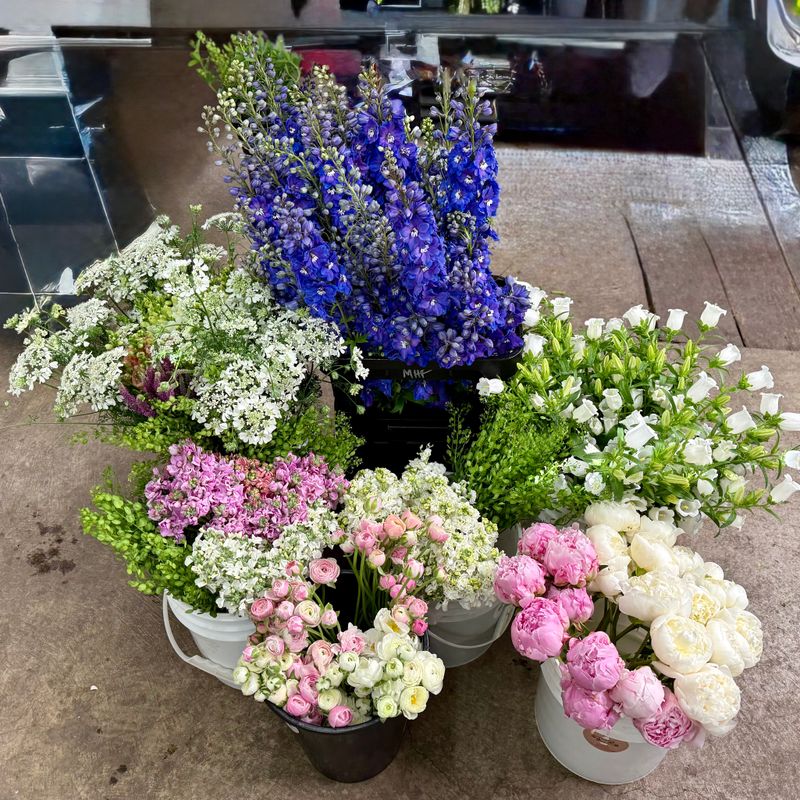 Blooms by the Bucket