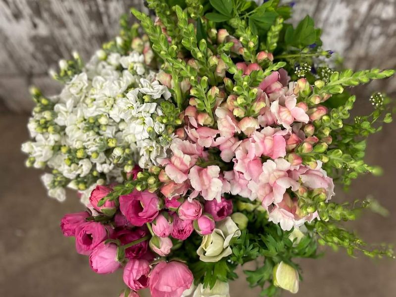 Blooms by the Bucket - Color Palette