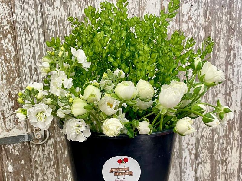 Blooms by the Bucket - Color Palette