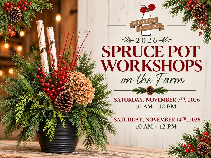 Winter Spruce Container Workshops | On Farm