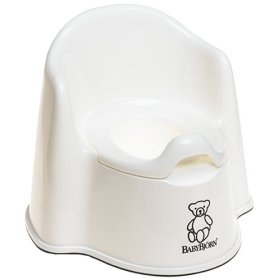 Potty Chair