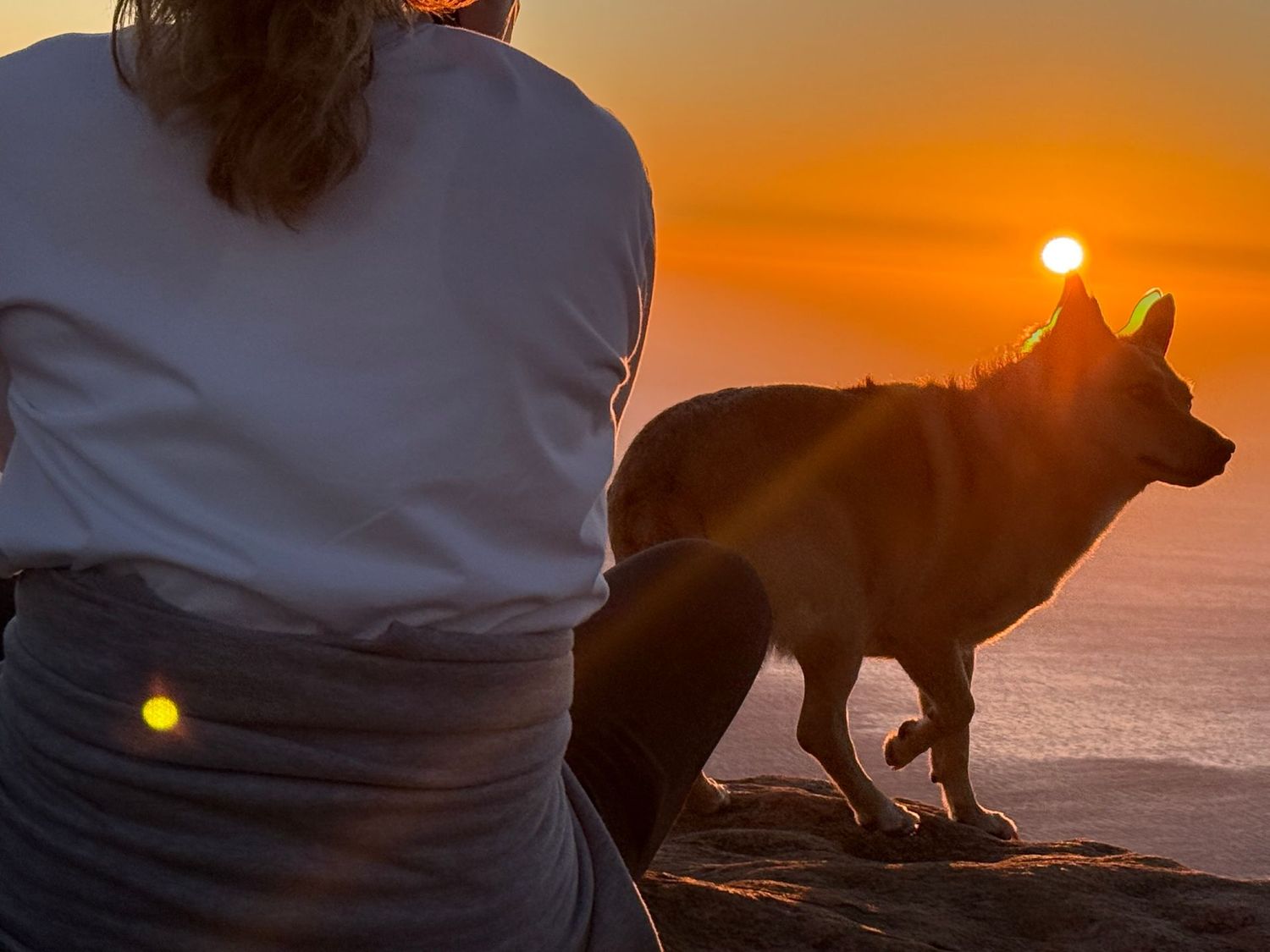 Lion’s Head sunset PRIVATE walk Cape Town