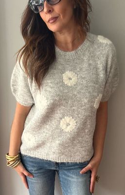 Jersey Princess Jersey Princess